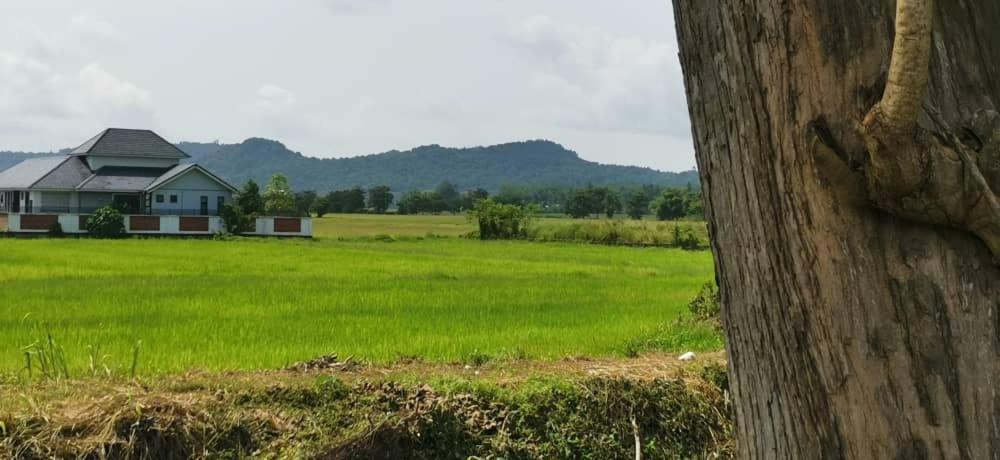 Langville Hotel Pantai Cenang  Bagian luar foto