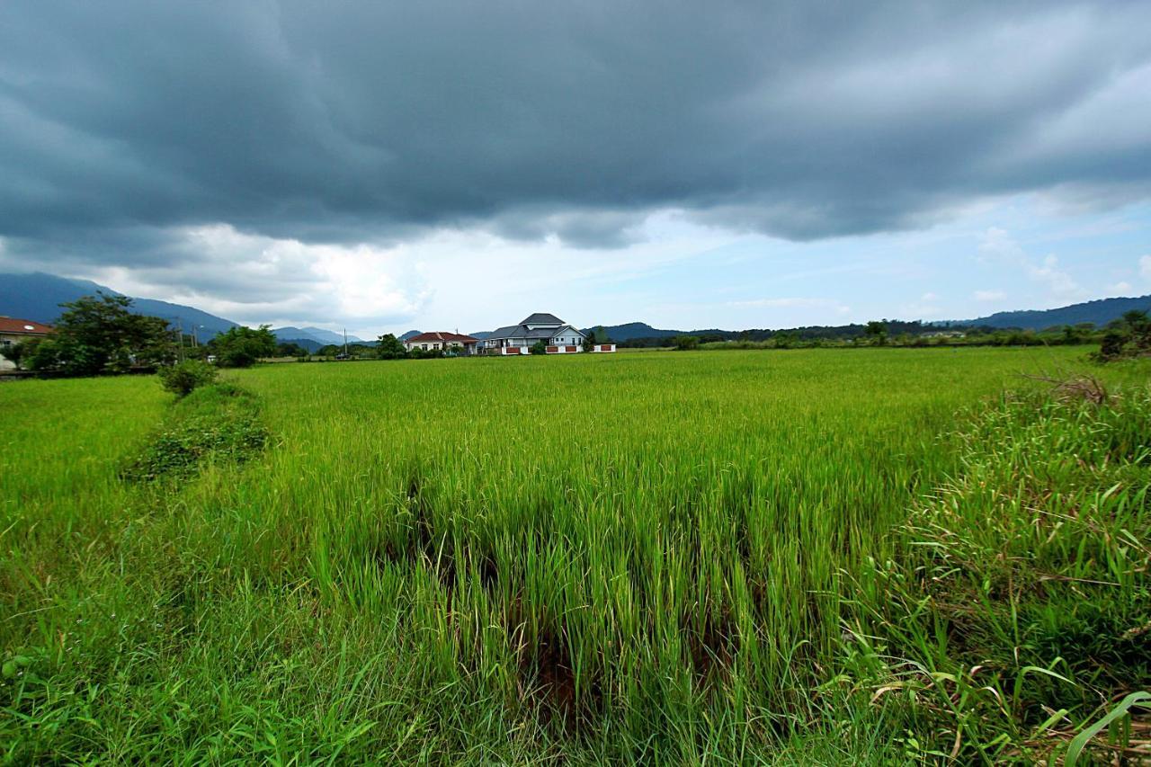 Langville Hotel Pantai Cenang  Bagian luar foto